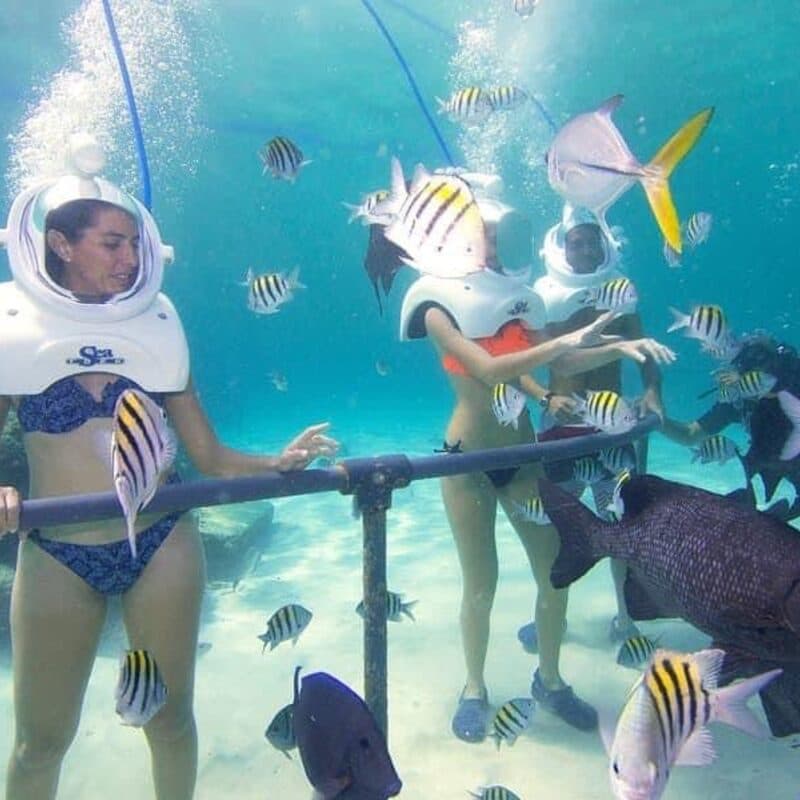 Sea Adventures