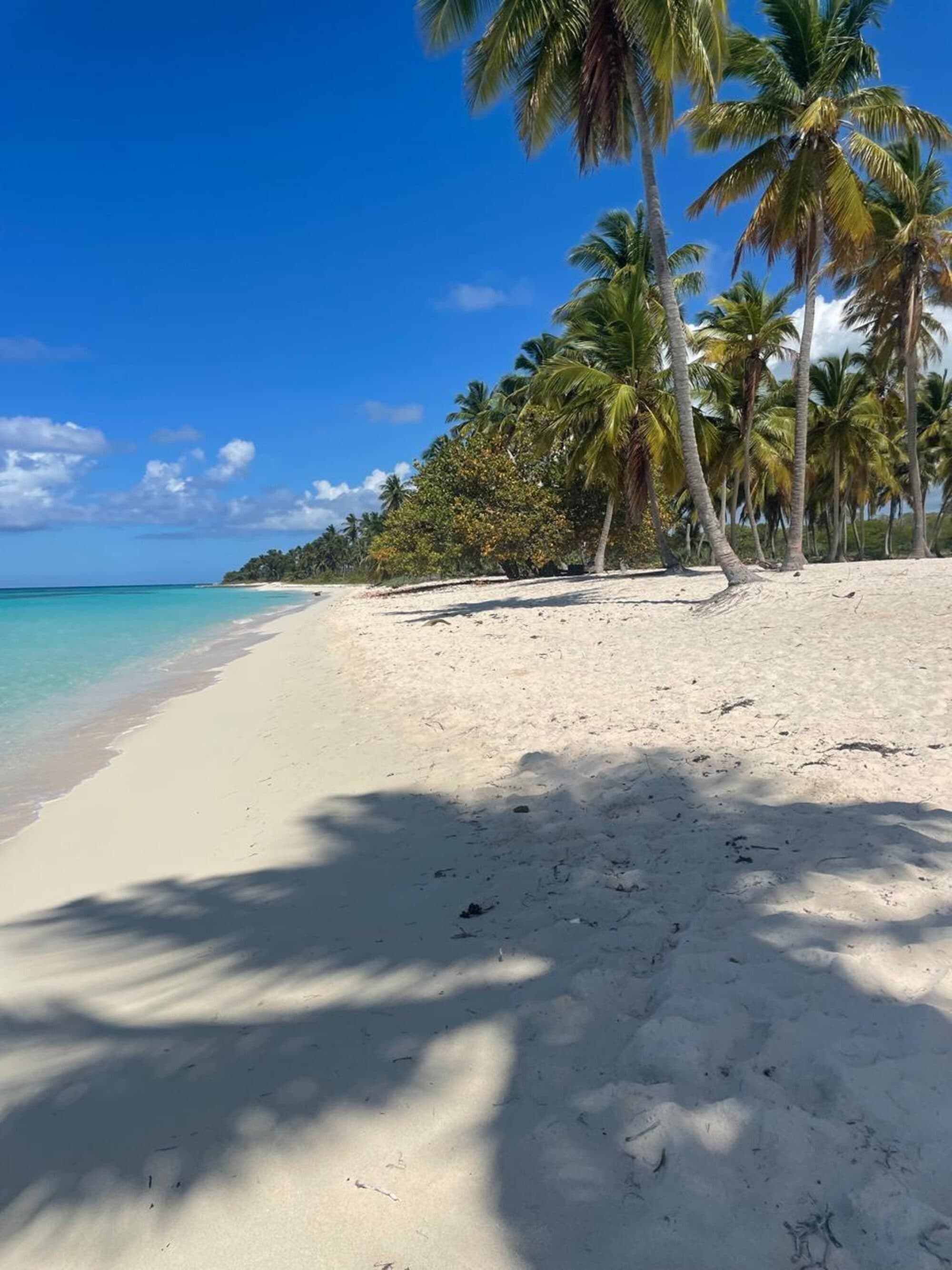 Saona vs Catalina: which island excursion should you book?