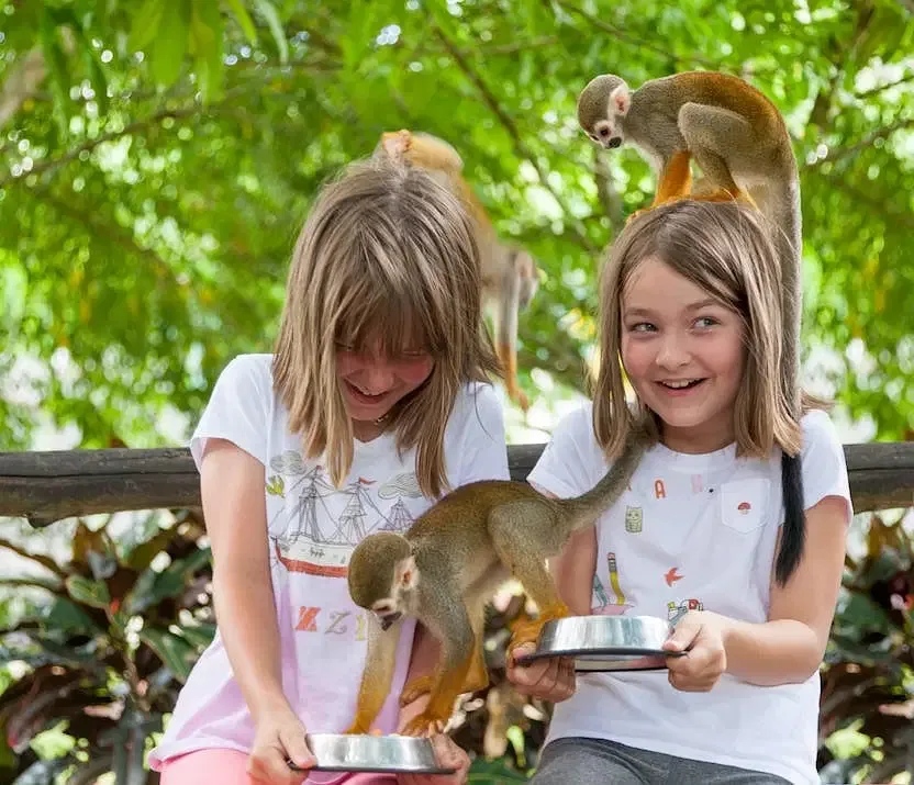 Monkeyland Park