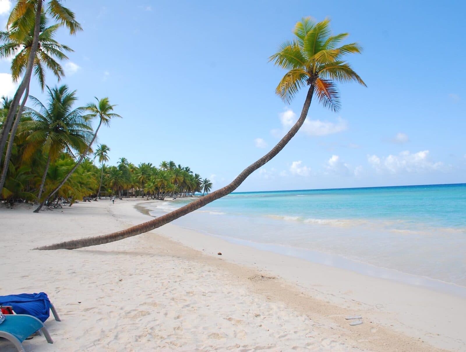 Saona Island Discovery