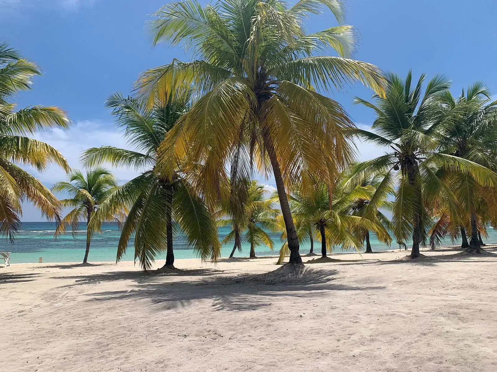 Saona Island VIP — 3 Beaches