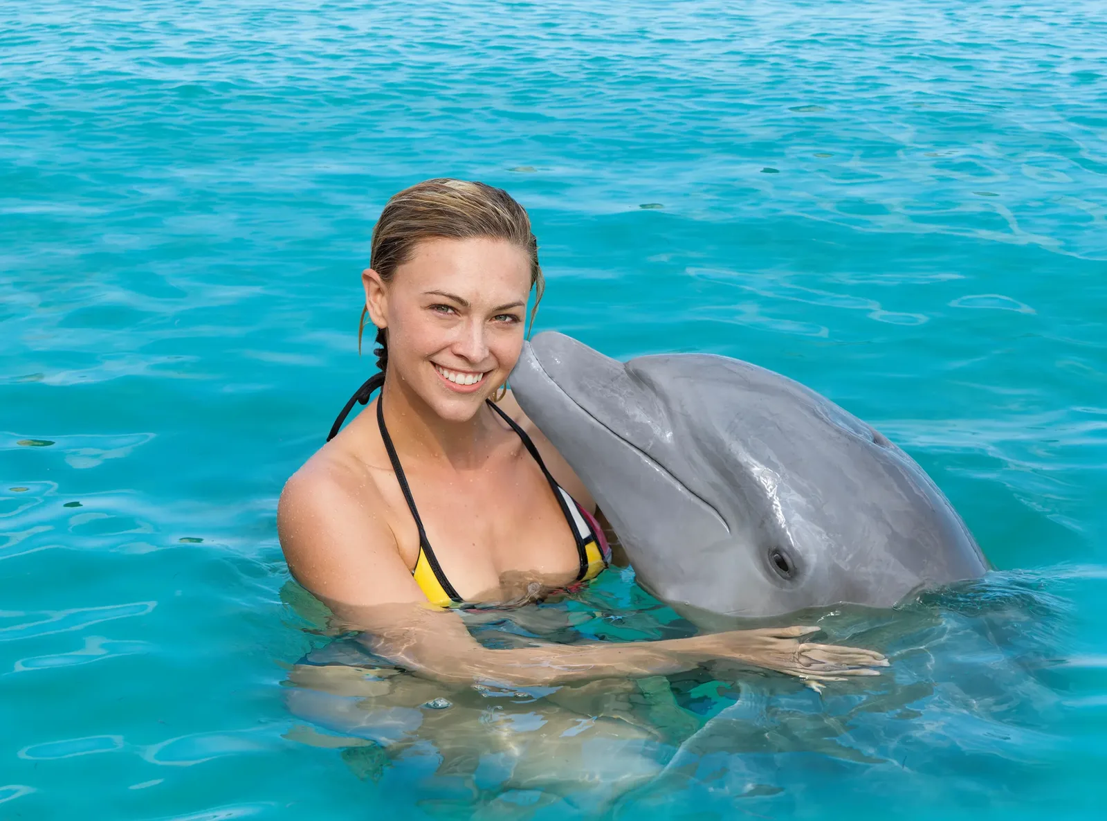 Swim with Dolphins · Bávaro
